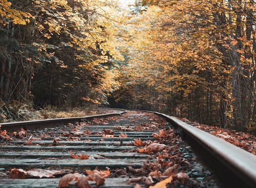abandoned  railway  fall