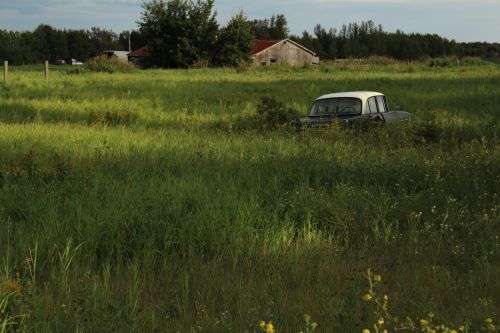 Abandoned Car Farmers Field