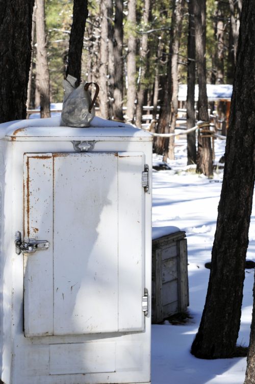 Abandoned Vintage Refrigerator