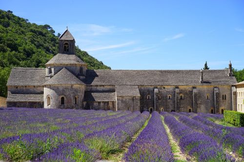 abbaye de sénanque monastery abbey