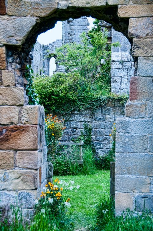 abbey riveaux wall