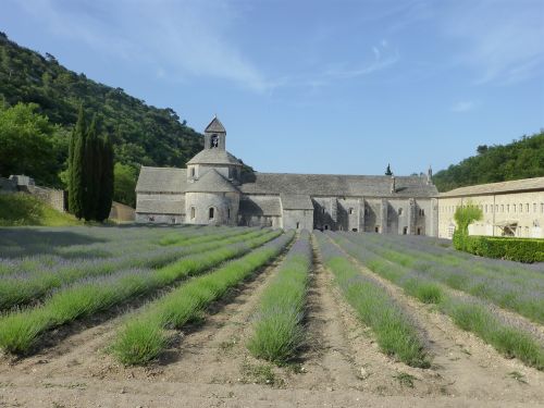 abbey lavender south