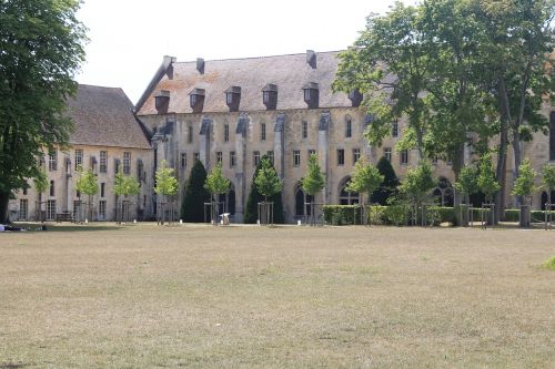 abbey royaumont abbey grass