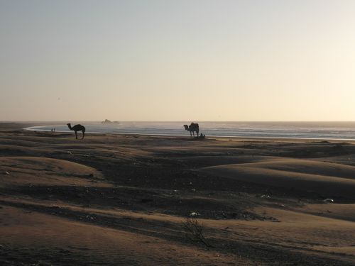 abendstimmung desert beach