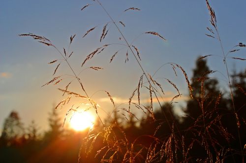 abendstimmung sunset sun