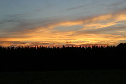 abendstimmung evening sky