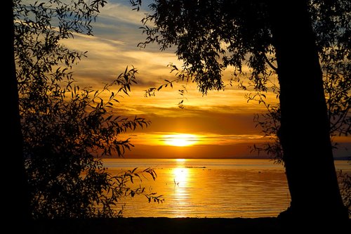 abendstimmung  sunset  lake constance