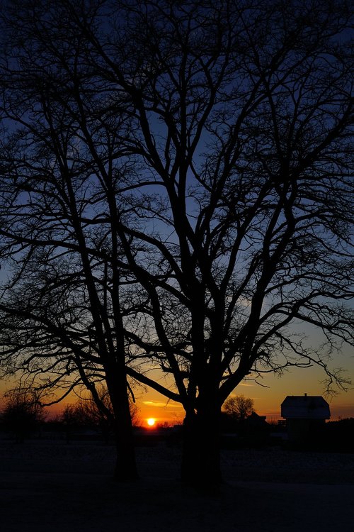 abendstimmung  landscape  twilight