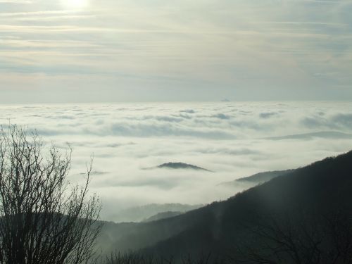 above the clouds three stone beech hg