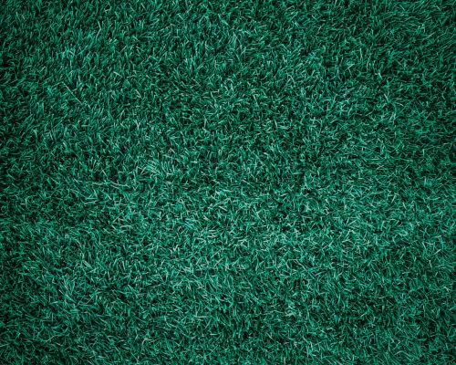 grass abstract backdrop