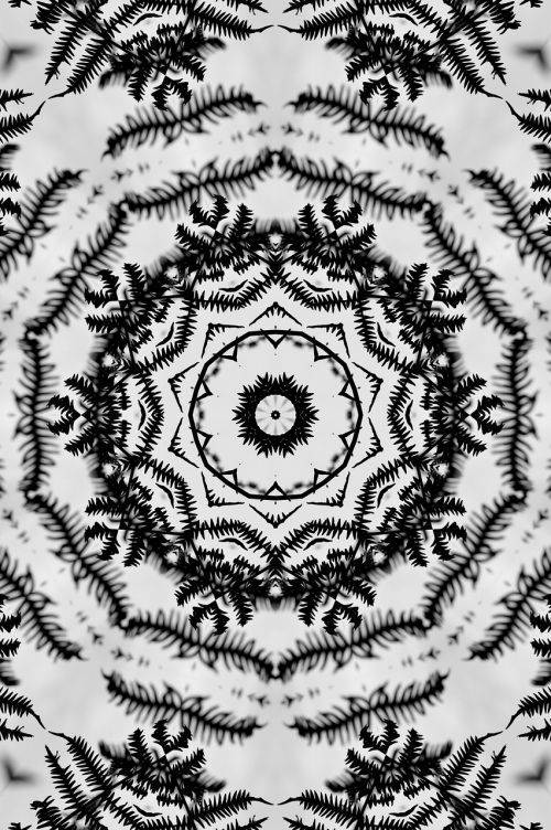 abstract pattern fractal