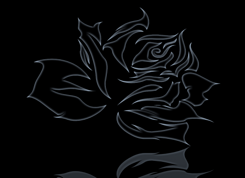 abstract rose black