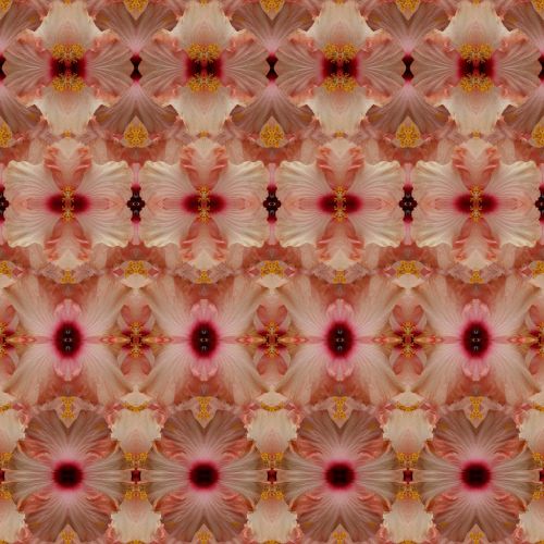 Abstract Hibiscus Pattern