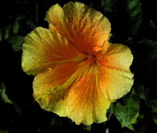 Abstract Hibiscus
