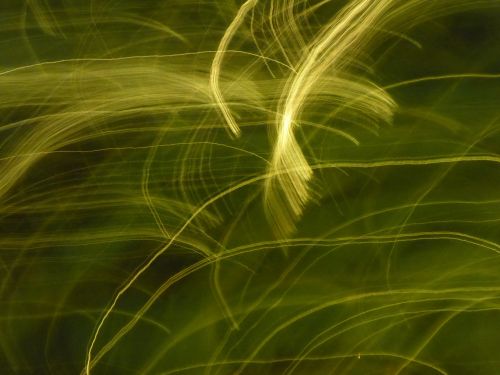 Abstract Moving Lights Background