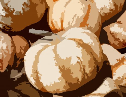 Abstract Pumpkin Background