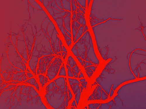 Abstract Red Tree Silhouette