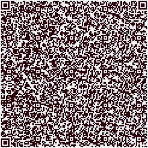 Abstraction QR Code