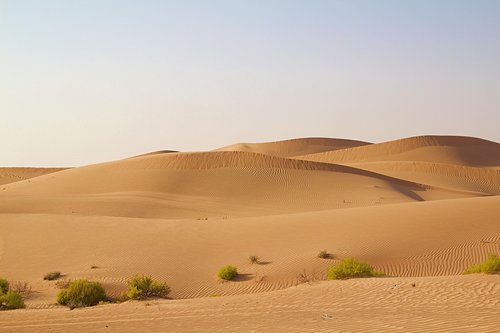 abu dhabi  emirates  desert