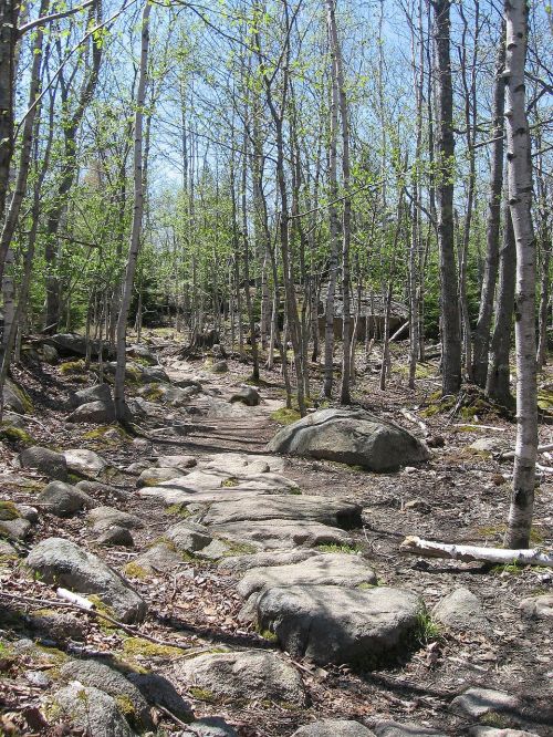 acadia national park maine landscape