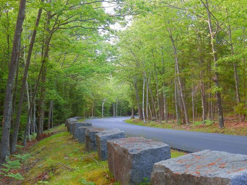 Acadia National Park