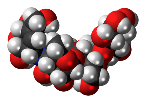 acarbose diabetic drug oligosaccharides