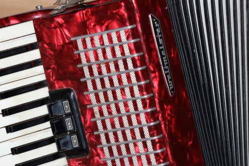 accordion musical instrument music