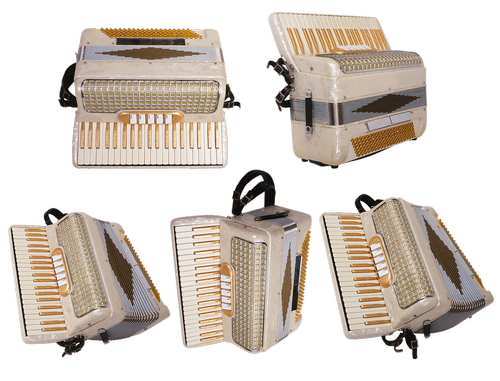 accordion  fur  music