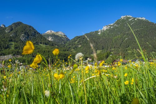 achensee  austria  mountains