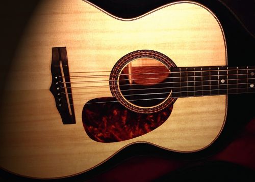 acoustic guitar instrument