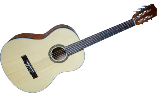 acoustic guitar guitar stringed instrument