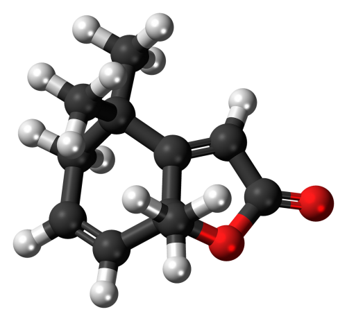 actinidiolide pheromone molecule