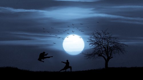 action  kung fu  moonlight