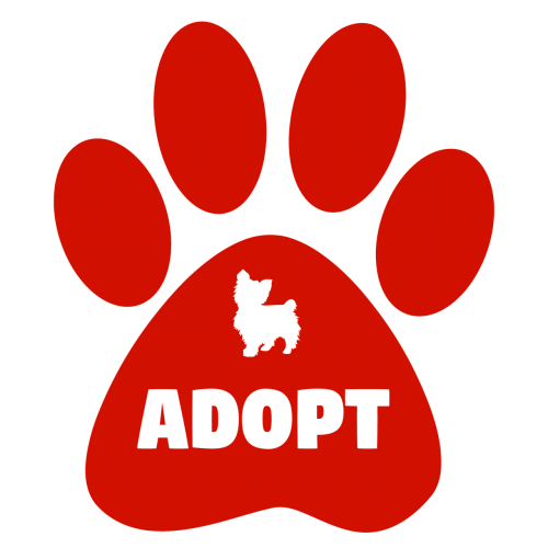 adopt dogs cats