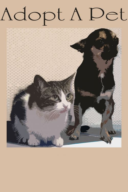 Adopt A Pet Poster