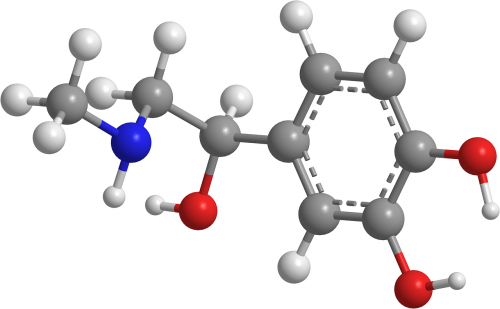 adrenaline organic chemistry molecules