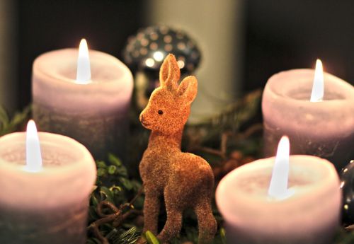 advent wreath candles roe deer