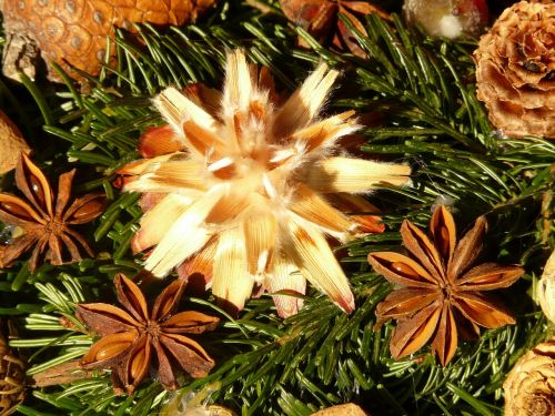 advent wreath seeds ornament