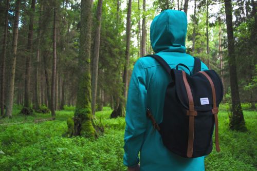 adventure backpack forest