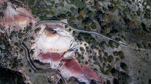 aerial view trees