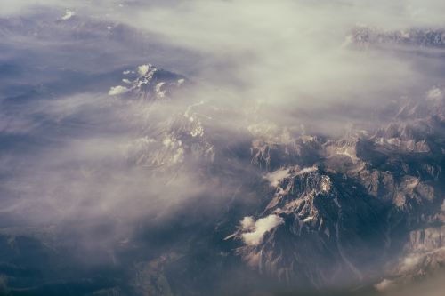 aerial fog forest