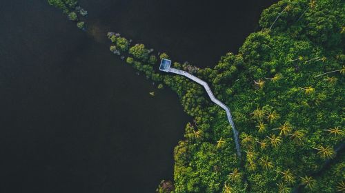aerial view bridge