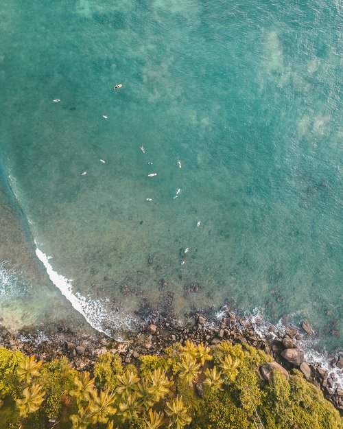 aerial  sea  ocean