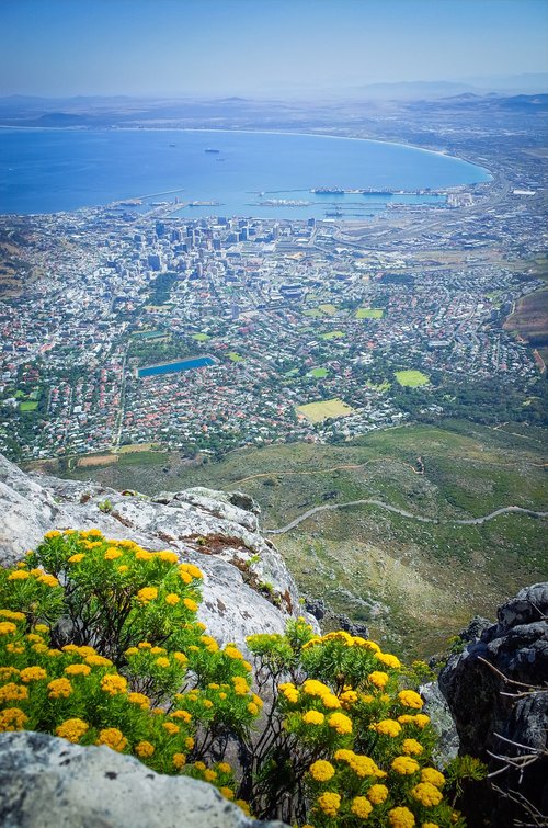 aerial  coastline  view