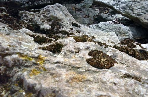 Aerial Mini Mountains