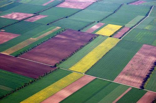 aerial view fields color