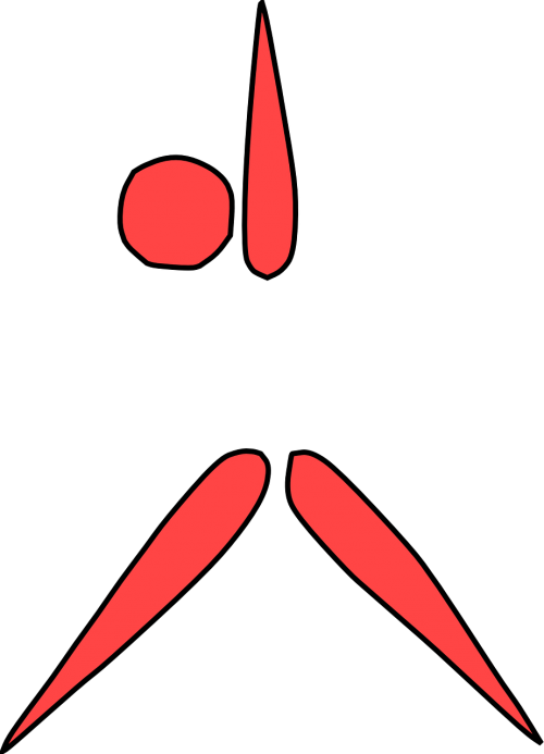 aerobics figure fitness