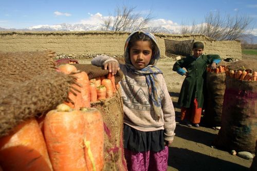 afghanistan children carrots