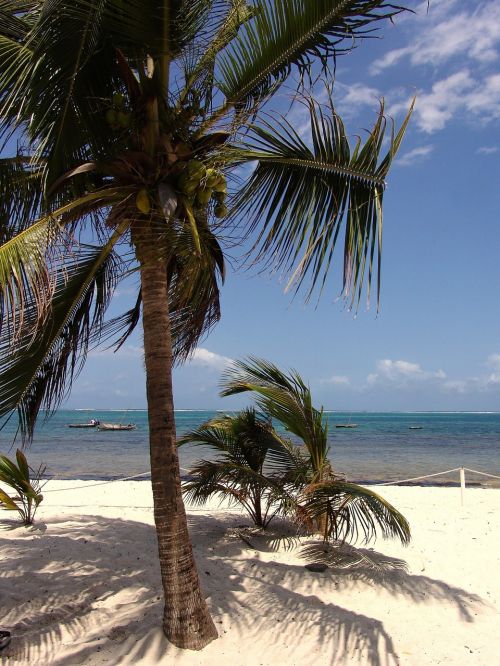 africa beach ocean