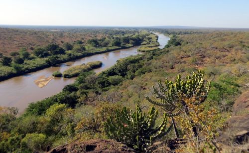 africa wild nature